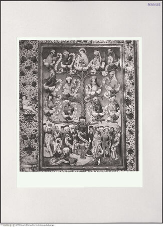 Vorderseite von bh555244_recto