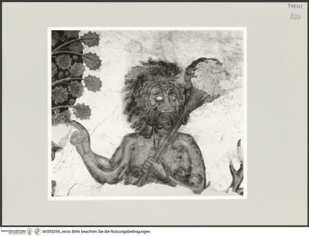 Vorderseite von bh555290_recto