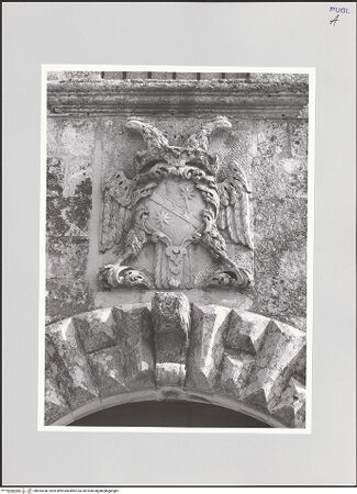 Vorderseite von bh555358_recto