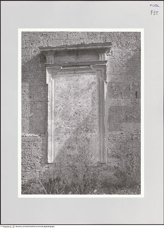 Vorderseite von bh555363_recto