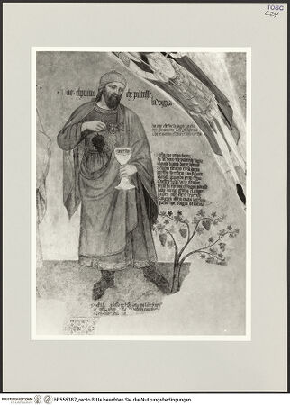 Vorderseite von bh555387_recto