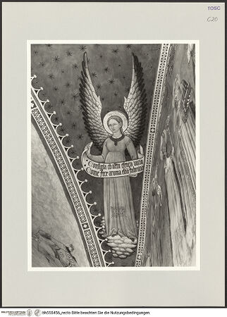 Vorderseite von bh555456_recto