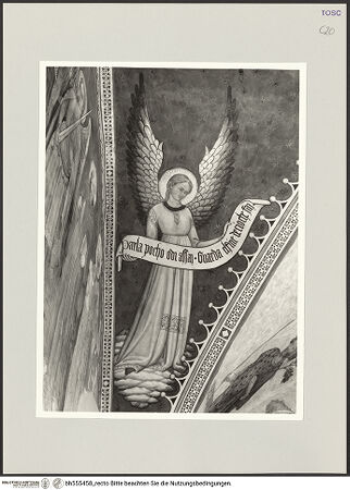 Vorderseite von bh555458_recto