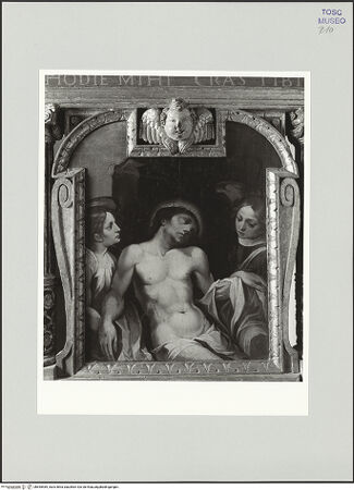 Vorderseite von bh555469_recto