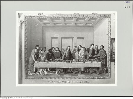 Vorderseite von bh555517_recto