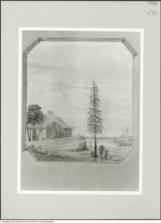 Vorderseite von bh555529_recto