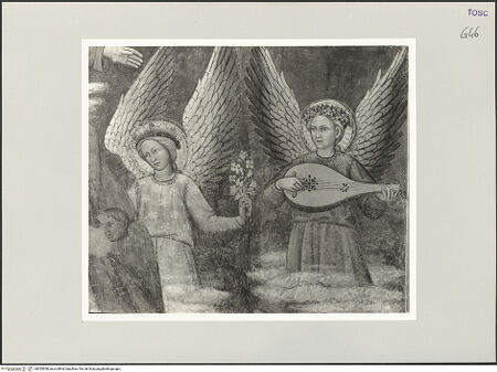 Vorderseite von bh555558_recto