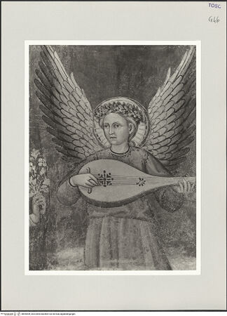 Vorderseite von bh555559_recto