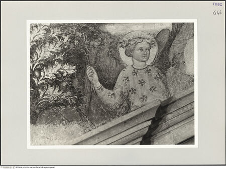 Vorderseite von bh555560_recto