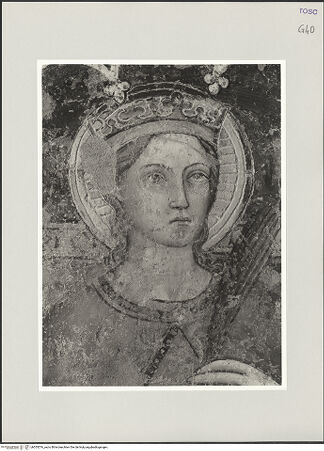 Vorderseite von bh555576_recto