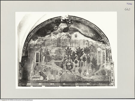 Vorderseite von bh555586_recto