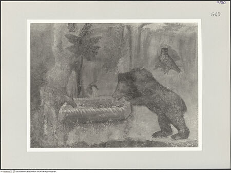 Vorderseite von bh555589_recto