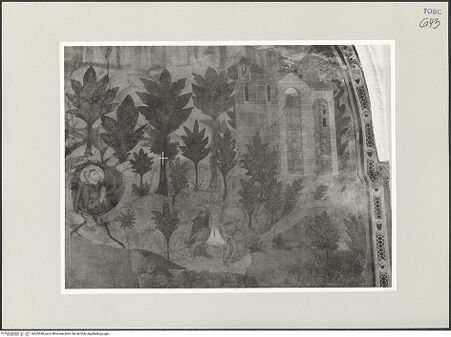 Vorderseite von bh555590_recto