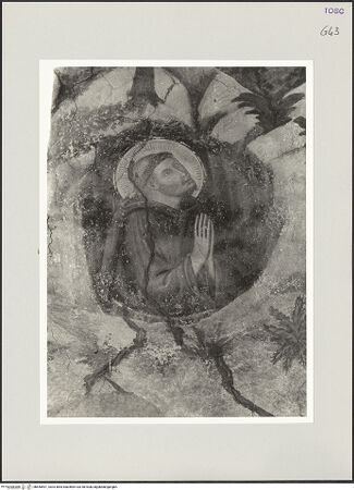 Vorderseite von bh555591_recto