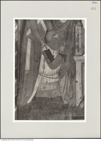 Vorderseite von bh555598_recto