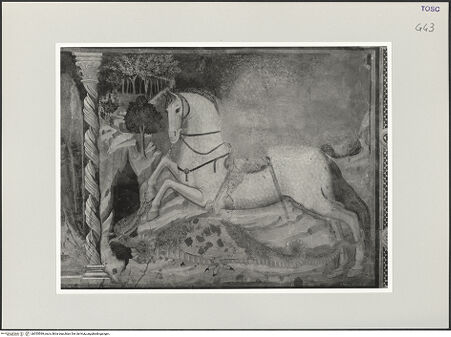 Vorderseite von bh555599_recto