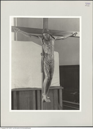 Vorderseite von bh555611_recto