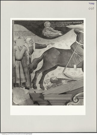 Vorderseite von bh555686_recto