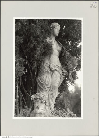 Vorderseite von bh555695_recto