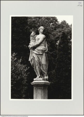 Vorderseite von bh555768_recto