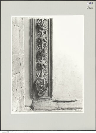 Vorderseite von bh555887_recto