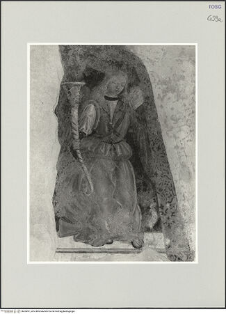 Vorderseite von bh555891_recto