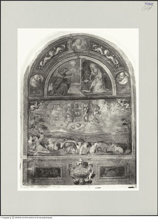 Vorderseite von bh555898_recto