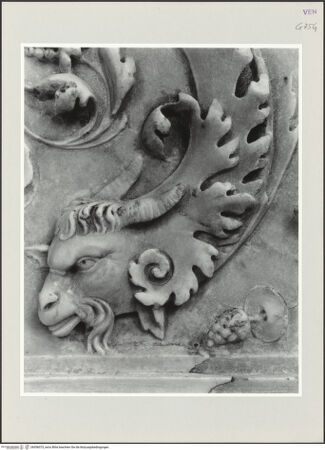 Vorderseite von bh556075_recto