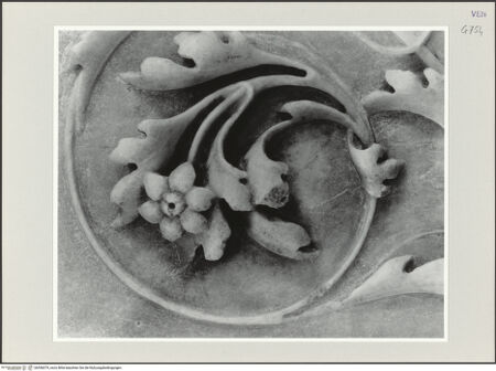 Vorderseite von bh556079_recto