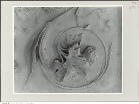 Vorderseite von bh556081_recto