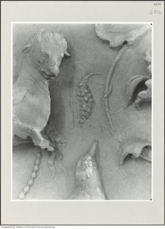 Vorderseite von bh556082_recto