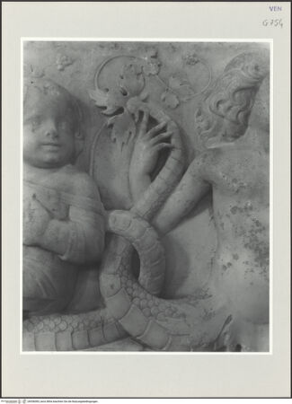 Vorderseite von bh556083_recto