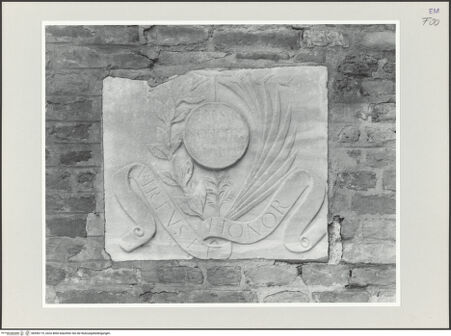 Vorderseite von bh556119_recto