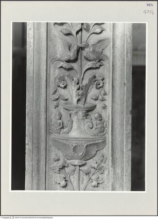 Vorderseite von bh556178_recto