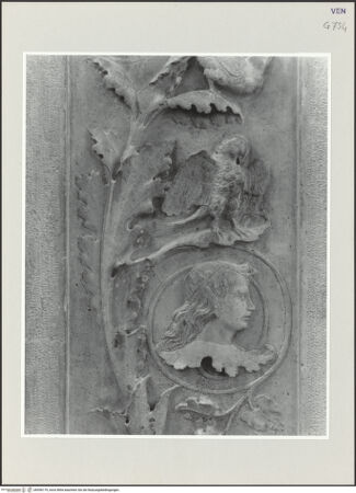 Vorderseite von bh556179_recto