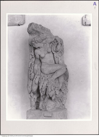 Vorderseite von bh556204_recto