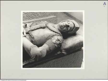 Vorderseite von bh556206_recto