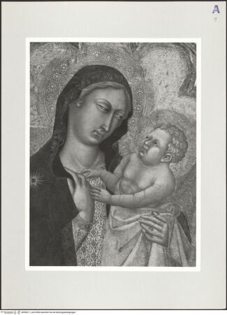 Vorderseite von bh556211_recto