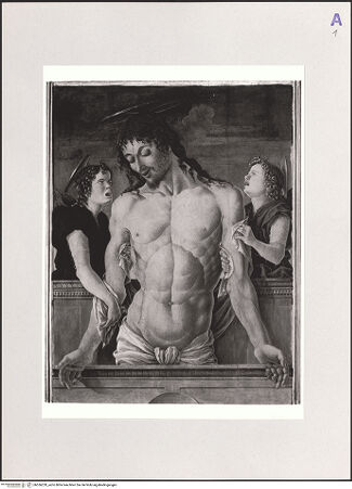 Vorderseite von bh556220_recto