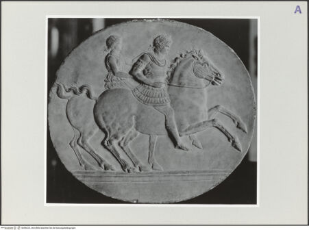 Vorderseite von bh556223_recto