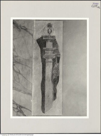 Vorderseite von bh556386_recto