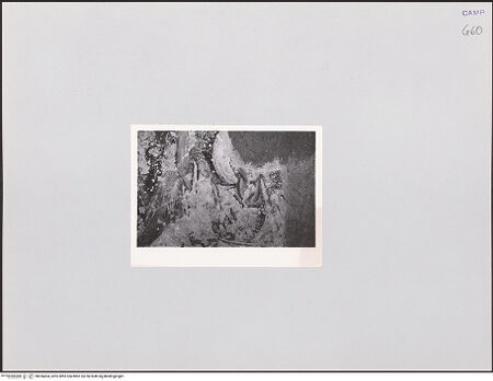 Vorderseite von unbekannt [https://www.deutsche-digitale-bibliothek.de/content/lizenzen/rv-ez/] FreskenzyklusGewölbe (Christusbüste? und Engel) - Engel auf dem nordwestlichen Grat, bh556404_recto. Foto.