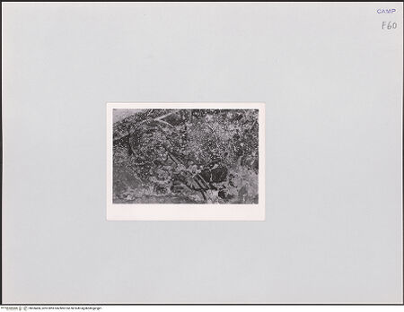 Vorderseite von unbekannt [https://www.deutsche-digitale-bibliothek.de/content/lizenzen/rv-ez/] FreskenzyklusApsis und Stirnwand (Pantokrator, Madonna und Engel) - Stirnwand: Engel, bh556406_recto. Foto.