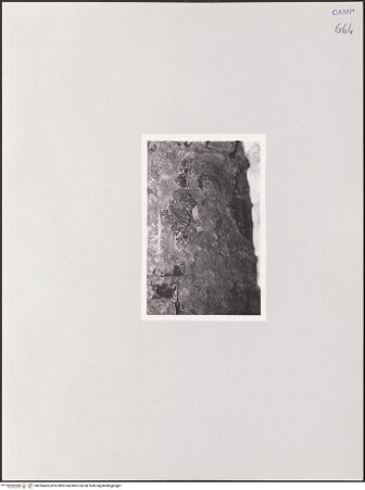 Vorderseite von unbekannt [https://www.deutsche-digitale-bibliothek.de/content/lizenzen/rv-ez/] FreskenzyklusJanuarius - Gesamtansicht, bh556463_recto. Foto.