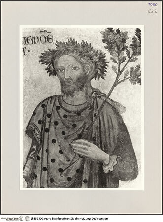 Vorderseite von bh556500_recto