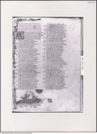 Vorderseite von bh556658_recto