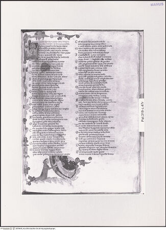 Vorderseite von bh556660_recto