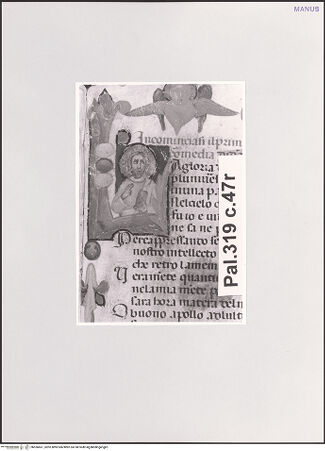 Vorderseite von bh556661_recto