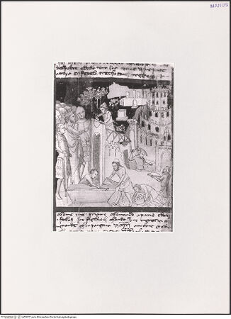 Vorderseite von bh556707_recto