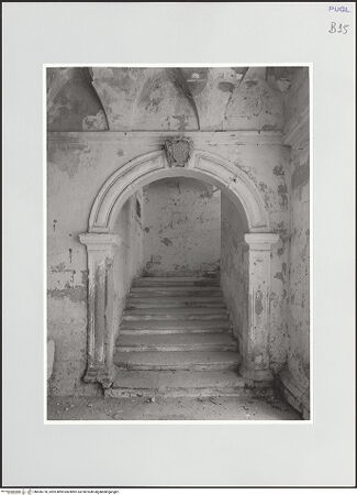 Vorderseite von bh556778_recto